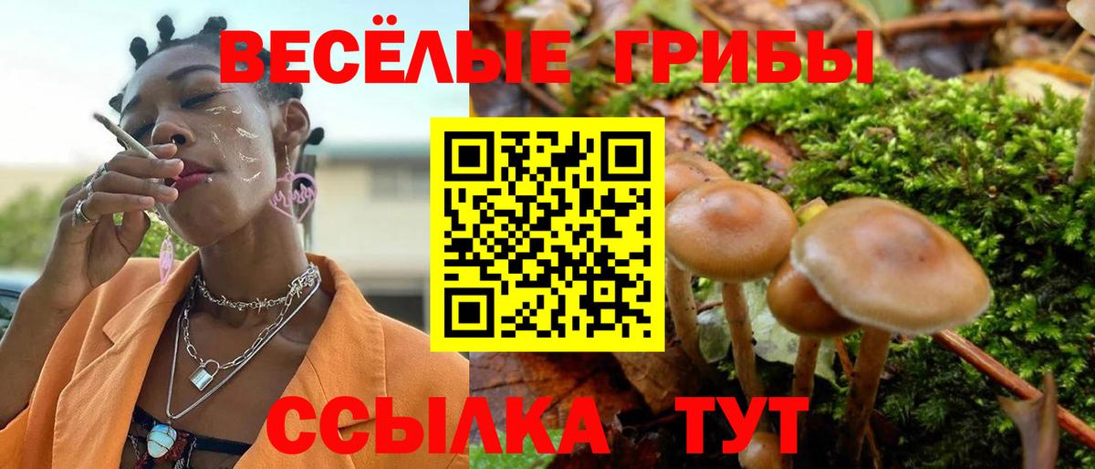 Псилоцибиновые грибы Psilocybe  Вход с VPN  Псилоцибиновые грибы прущие грибы  Кубинка 